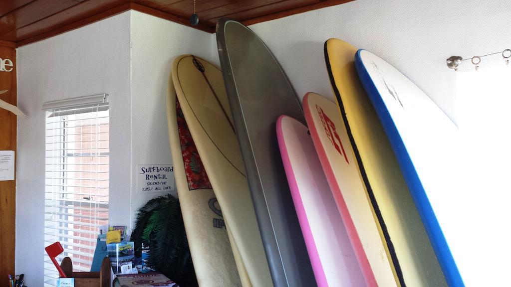 شاطئ كوكوا Surf Studio Beach Resort المظهر الخارجي الصورة