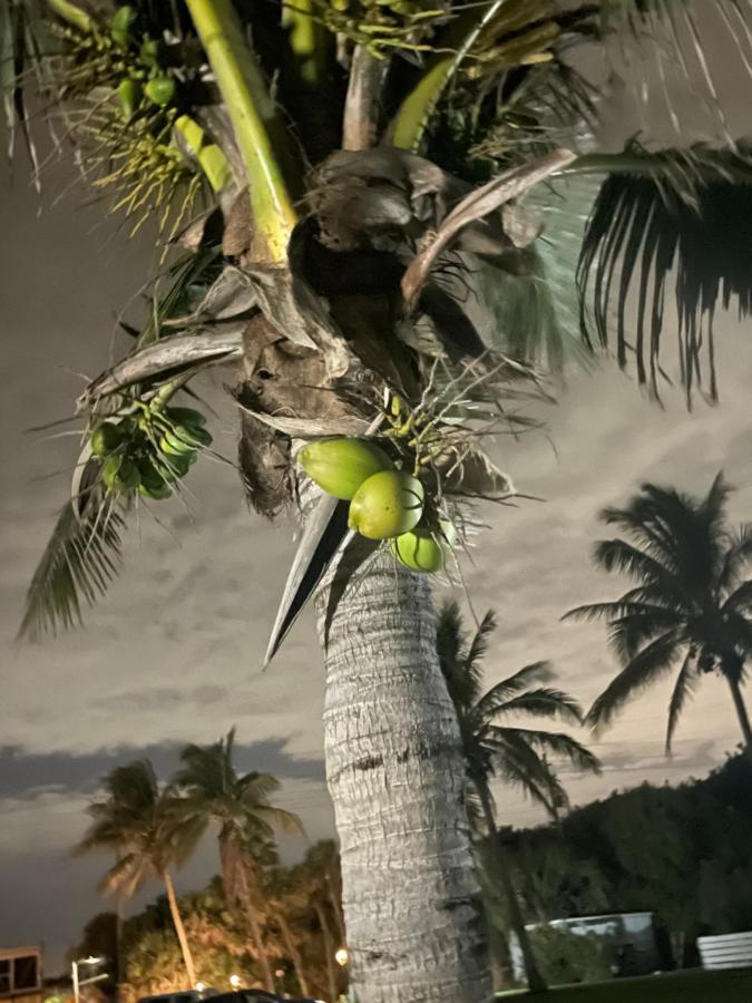 شاطئ كوكوا Surf Studio Beach Resort المظهر الخارجي الصورة
